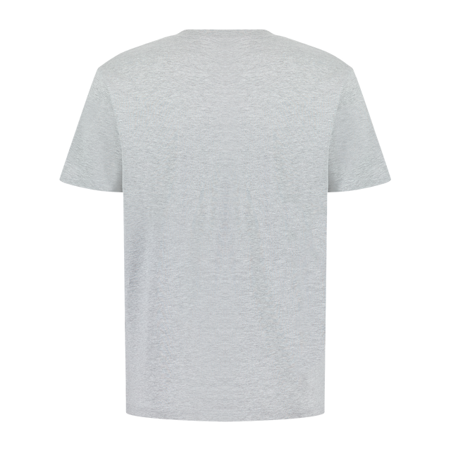 CAMISETA MOVE Gris