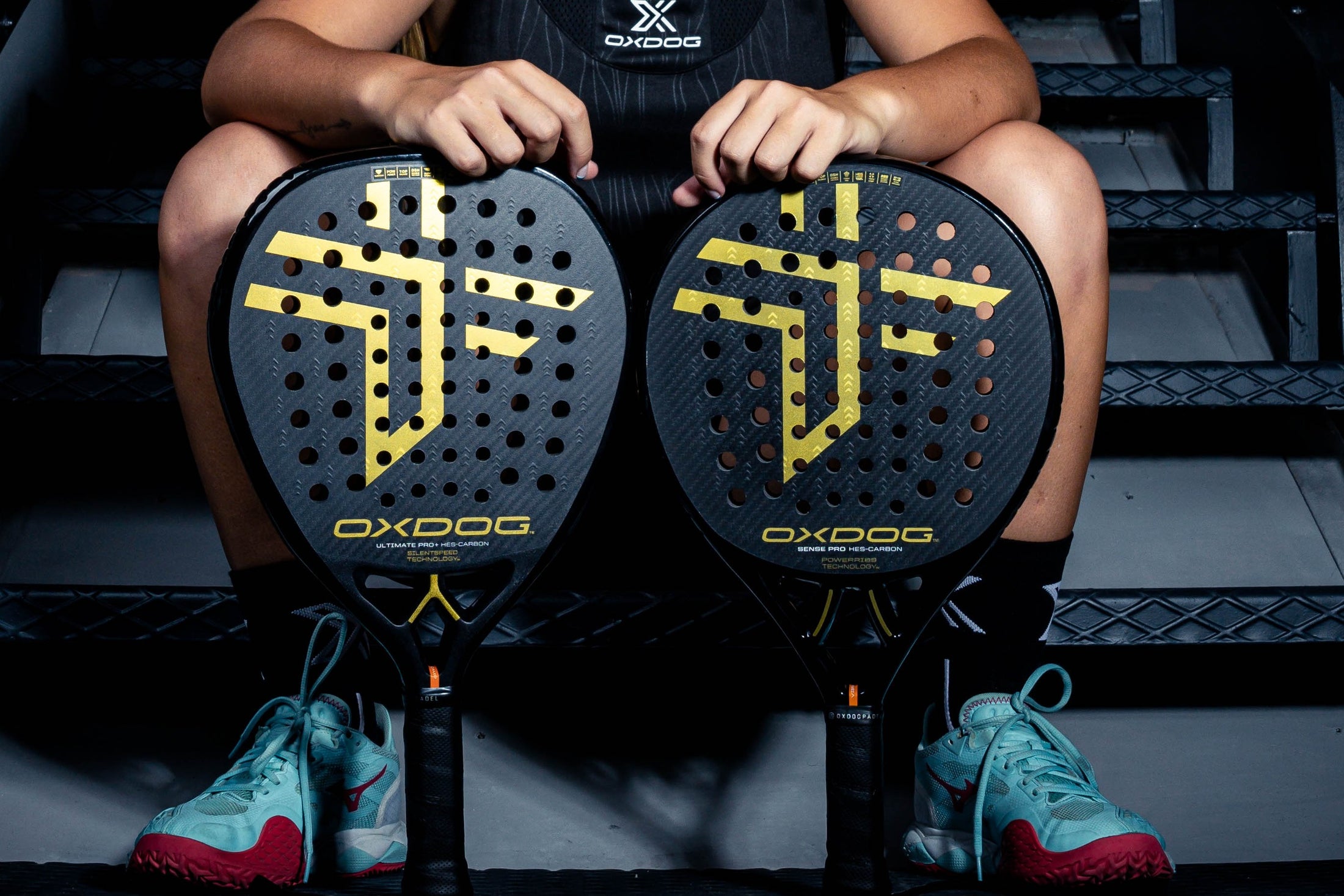 UNA GAMA QUE COMPARTE COLORES