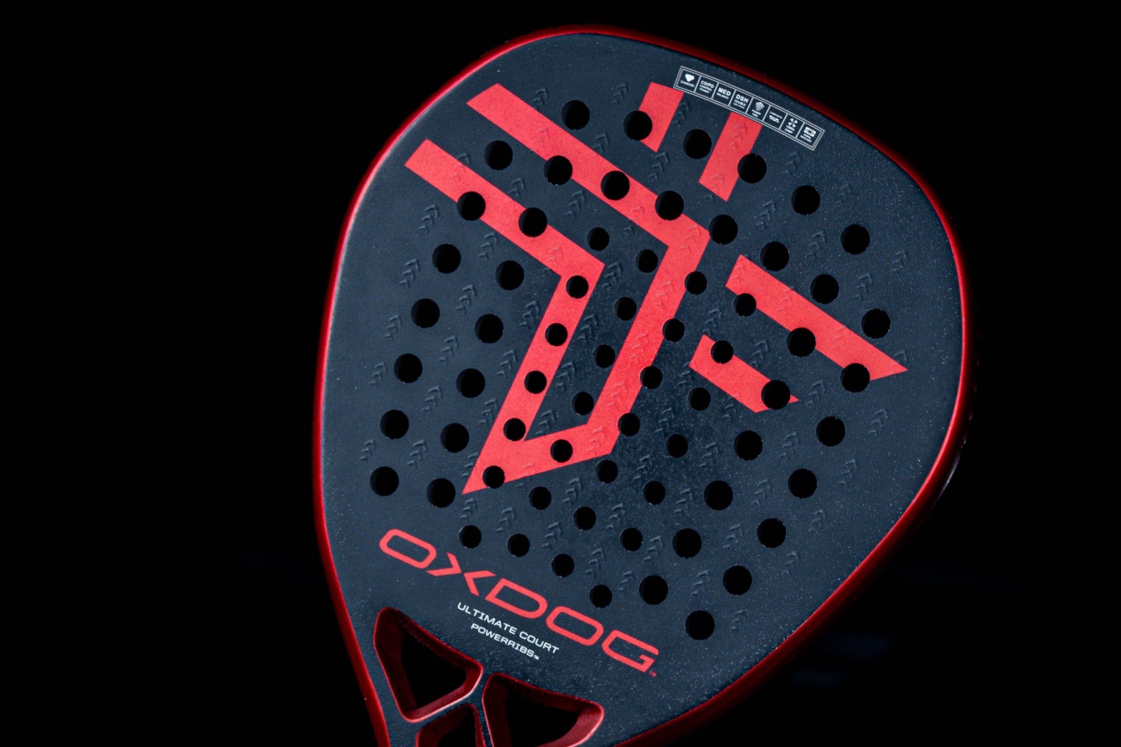 CONTROL Y POTENCIA PARA TODOS LOS NIVELES