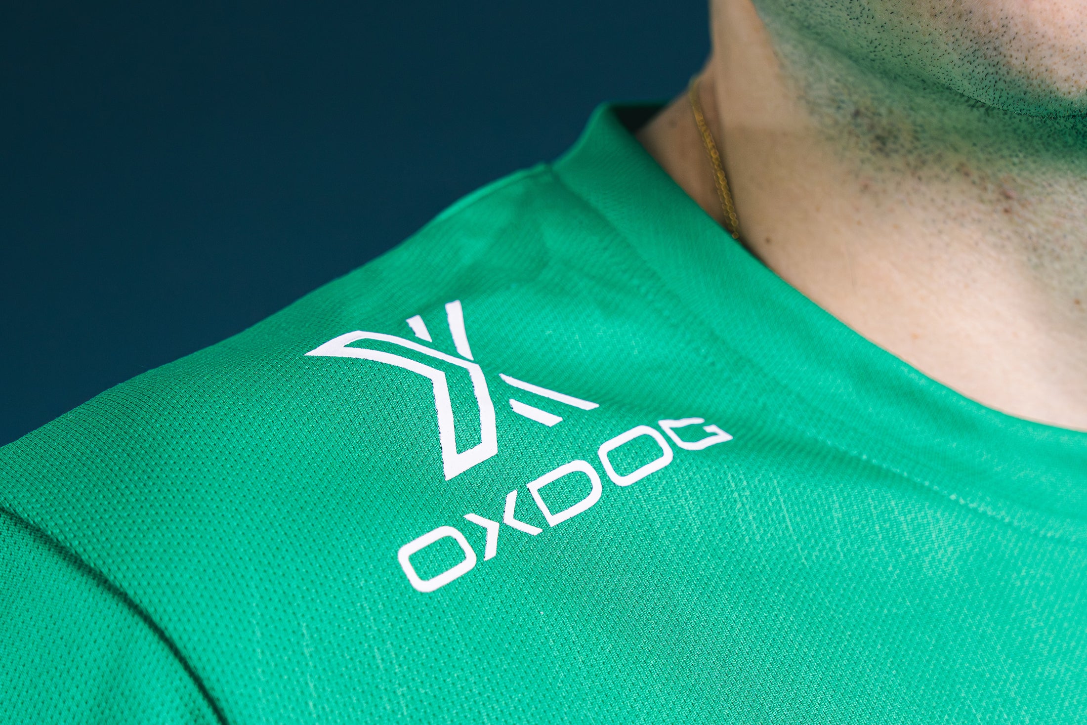 LLEGA EL COLOR VERDE